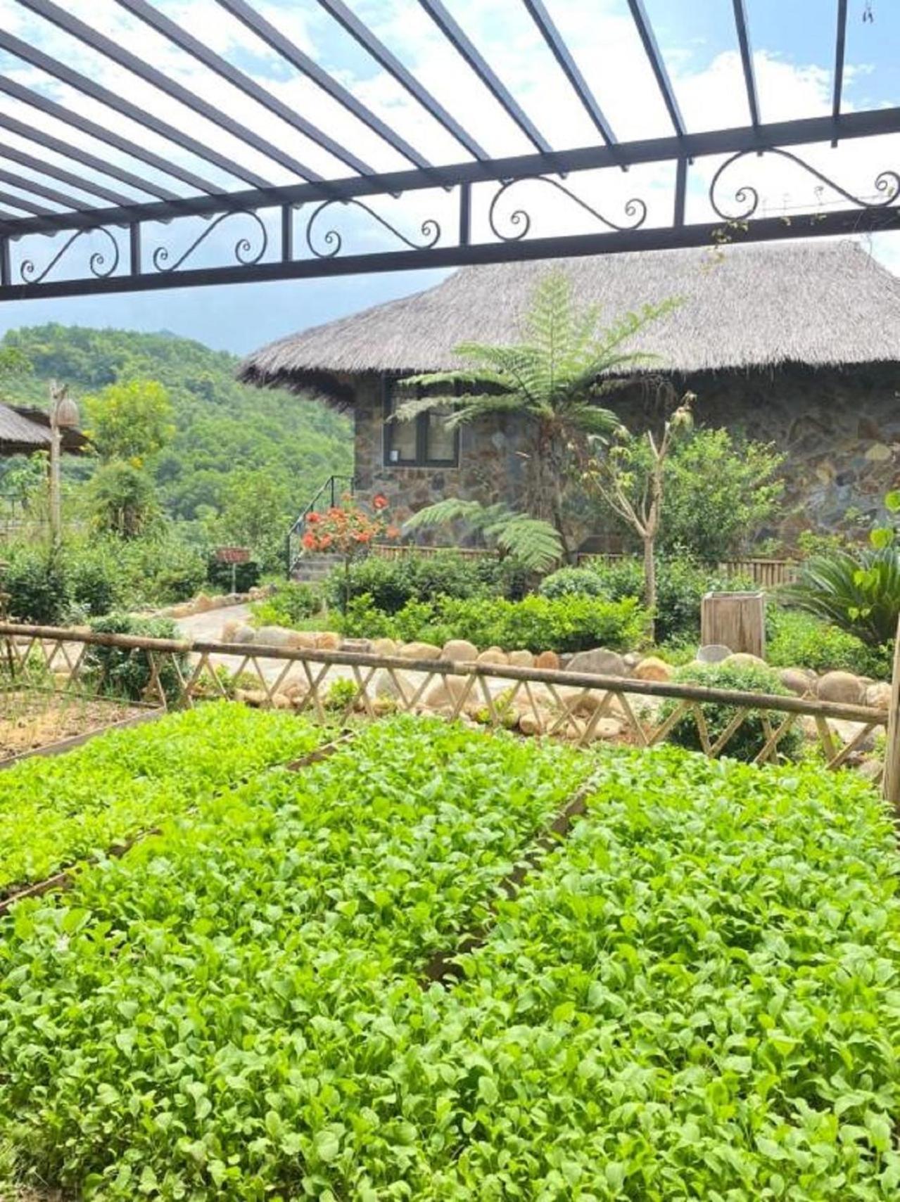 Вілла Muong Lo Retreat Nghia Lo Yen Bai Екстер'єр фото